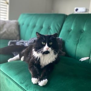 Meet your Posher, Helen